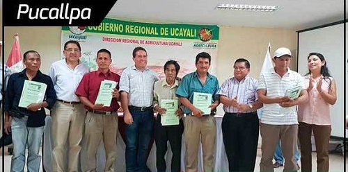 MINAGRI concreta nuevos planes de negocios y beneficia a más de 200 productores en Ucayali.