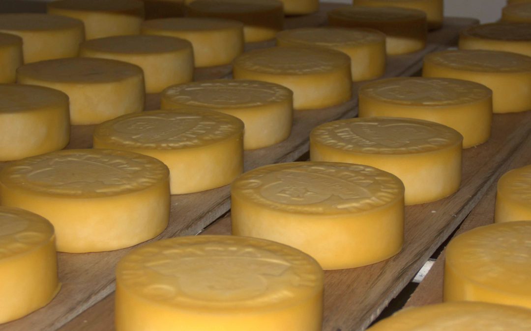 LA PULPERA (Queso orgánico)