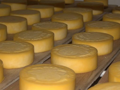 LA PULPERA (Queso orgánico)