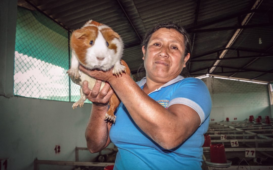 MINAGRI invirtió más de S/ 9,2 millones para potenciar las capacidades productivas y comerciales de 802 productores agrarios