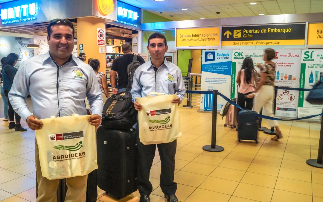 Productores de banano orgánico y espárrago presentes en la Fruit Logística 2019 en Alemania