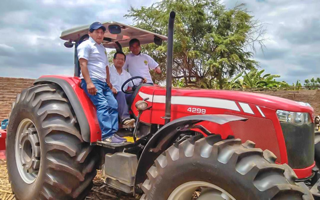 MINAGRI apuesta por cultivo de frijol caupí en Lambayeque