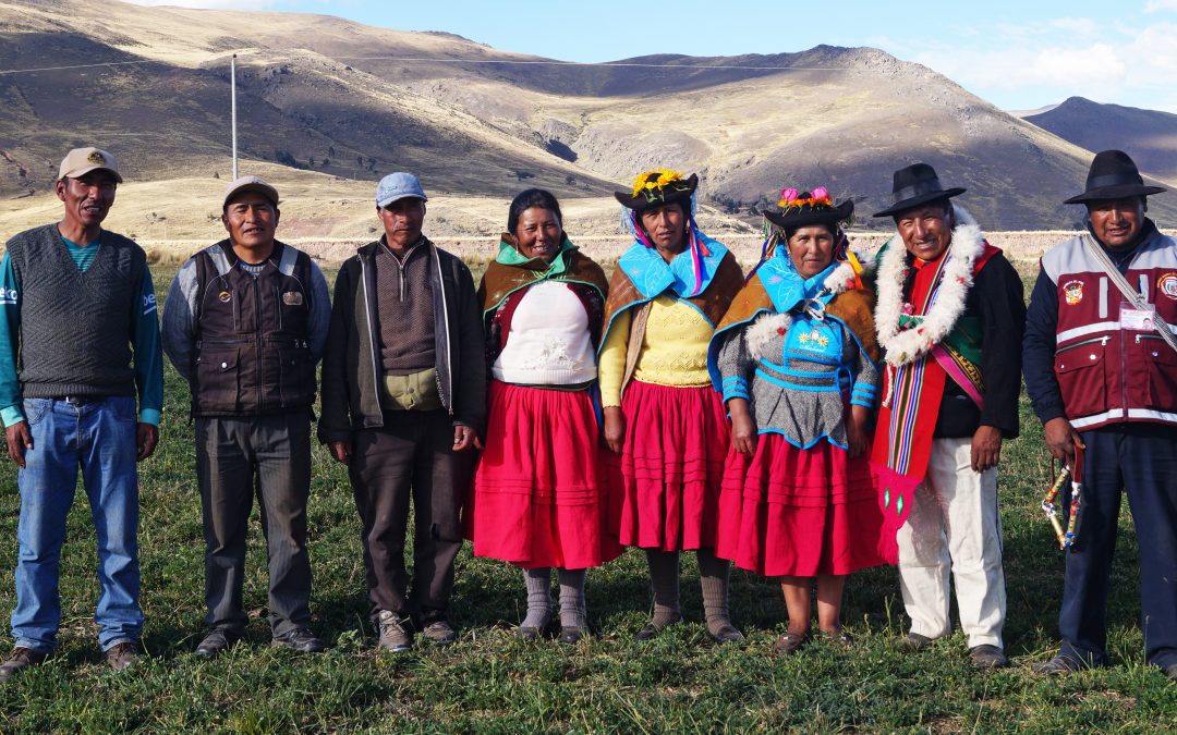 Puno: MINAGRI inaugura 30 mini establos y módulos de riego tecnificado