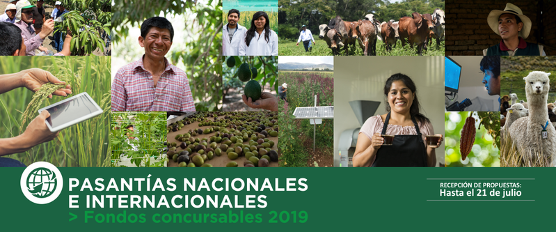 Pasantías Nacionales e Internacionales