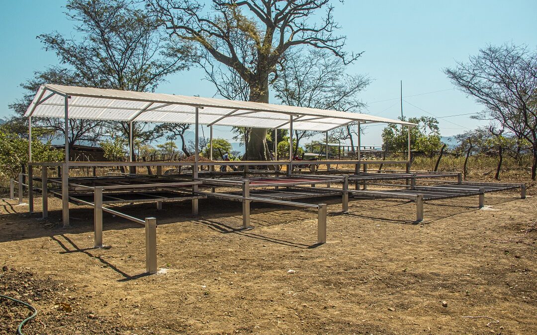 MINAGRI: Productores de cacao de Loma Larga Baja reciben módulos de fermentación y secado de cacao