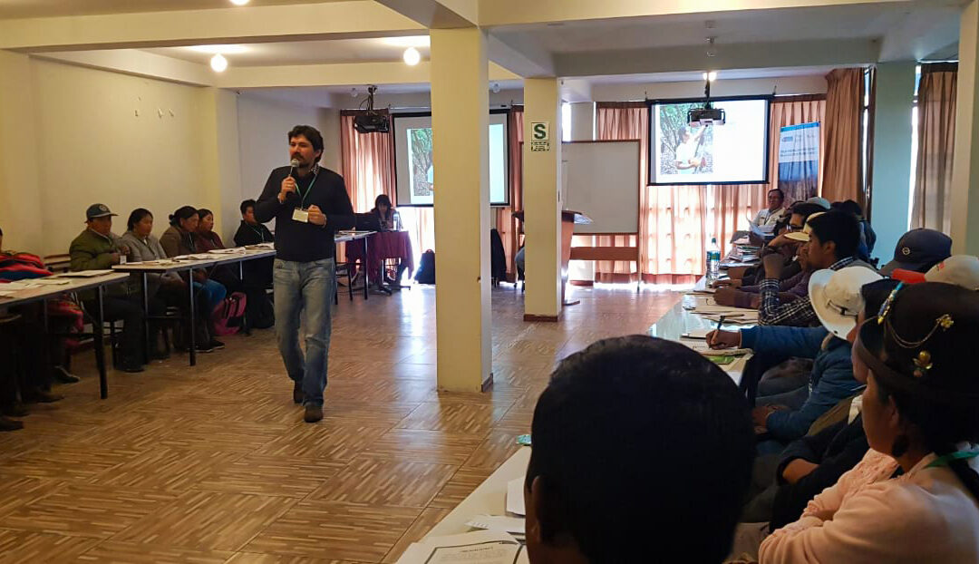 19 Organizaciones agrarias de Puno fortalecen gestión con ejecución de planes de negocios