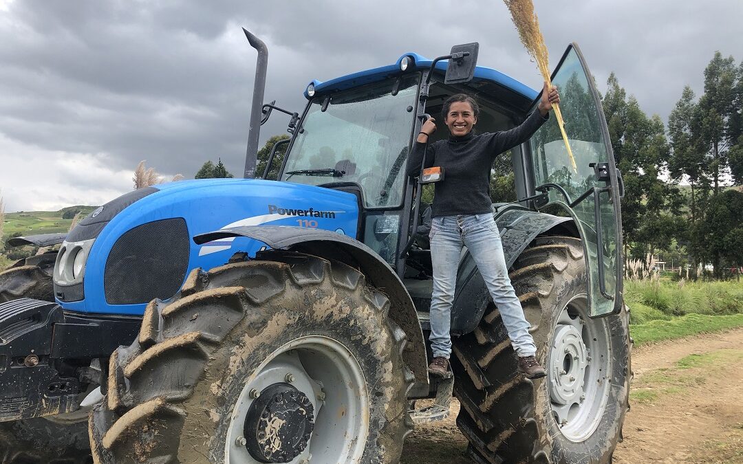Jauja: Productoras lideran organización de quinua orgánica de exportación