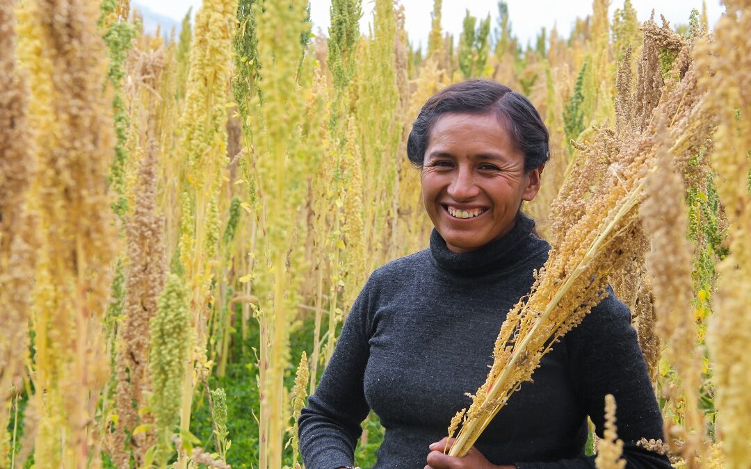 MINAGRI: S/ 600 millones en financiamiento directo al pequeño productor y reprograman deudas del campo