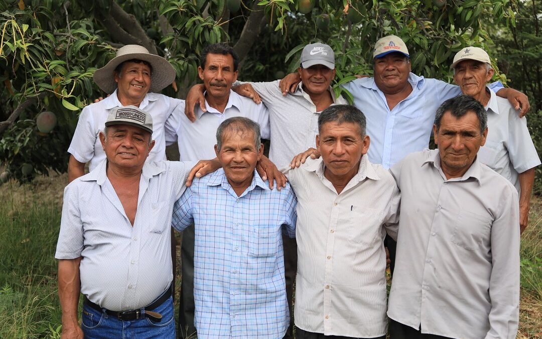 Gremios agrarios recibirán cofinanciamiento del MINAGRI para mejora de capacidades