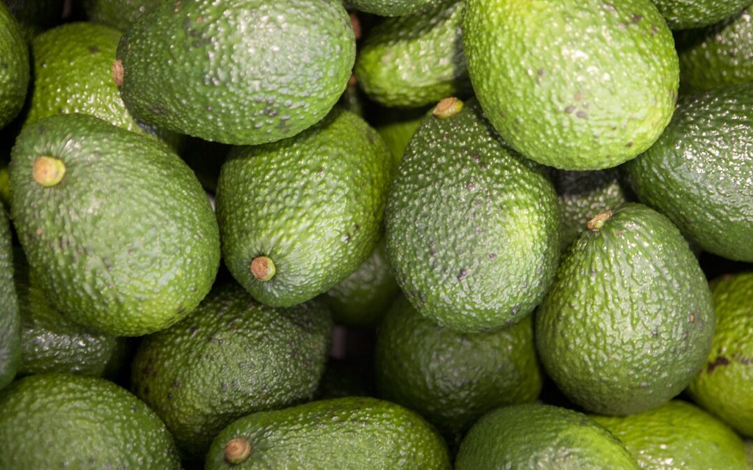 Más de 900 productores organizados lograron negocios por S/ 2.3 millones en la I Macro Rueda de Negocios Sur