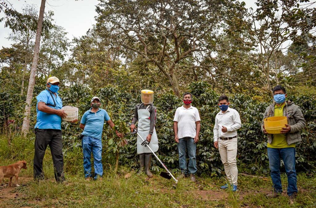 Cafetaleros de Cusco y Cajamarca concretaron negocios por más de S/ 700 mil a través de las Ruedas Virtuales de Negocios del MINAGRI
